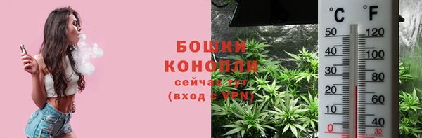амф Каменногорск