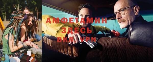 амф Каменногорск