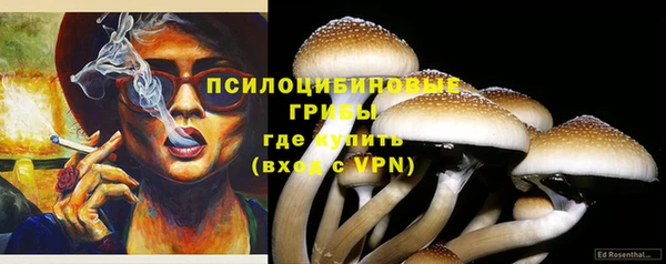 гашик Каменск-Шахтинский