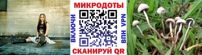 Псилоцибиновые грибы GOLDEN TEACHER  Купить закладки  Кыштым 